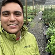 Profesor para nivel escolar y universitario